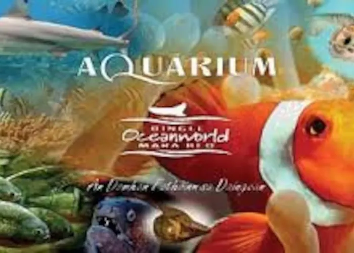 No9 Ard Na Mara * Дингл